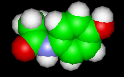 Acetaminophen Molecule Ball and Stick Model