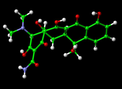 Tetracycline+staining