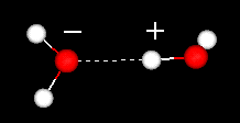 water dimer molecule