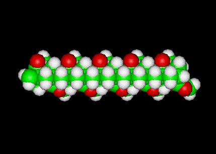 Plexiglass Molecule Ball and Stick Model