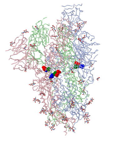 The Spike Molecule