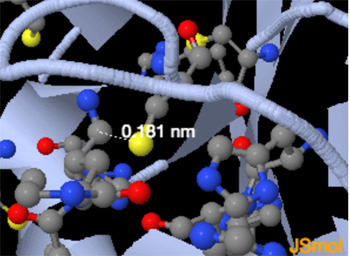 Carbon - Sulfur bond