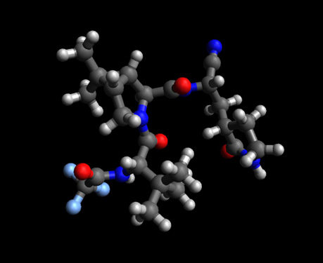 Paxlovid Drug for Covid