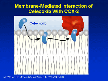 COX-2 Protein