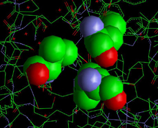 The Hemoglobin S Molecule pocket