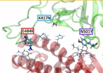 triple mutation in african variant