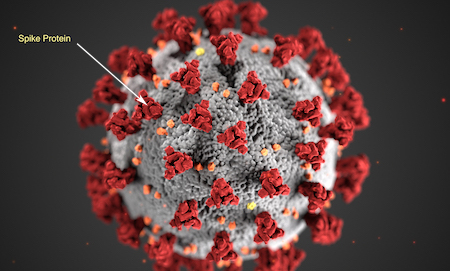 sars-cov-2-with-spike-proteins