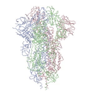 spike protein open state