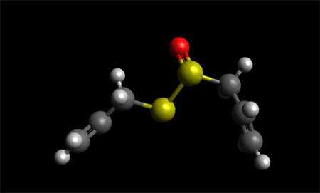 Allicin Molecule Ball and Stick Model