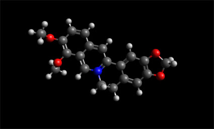 Berberine Molecule Ball and Stick Model