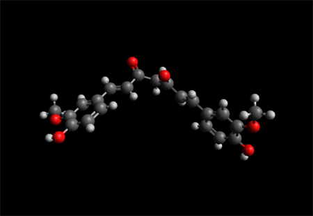 Curcumin Molecule Ball and Stick Model