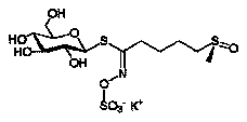 glucoraphanin molecular structure