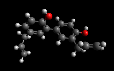 Honokiol  Molecule Ball and Stick Model