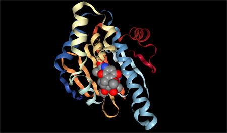 GELDANAMYCIN BOUND TO THE HSP90 GELDANAMYCIN-BINDING DOMAIN 