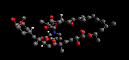 Rapamycin  Molecule Ball and Stick Model