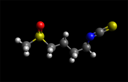 Sulforaphane  Molecule Ball and Stick Model