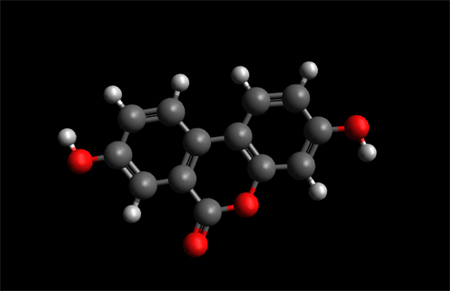 Urolithin  Molecule Ball and Stick Model