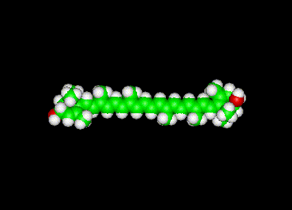 Lutein - Zeaxnthin Molecule Ball and Stick Model