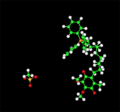 MitoQ Molecule Ball and Stick Model