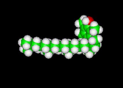 Vitamin E Molecule Ball and Stick Model