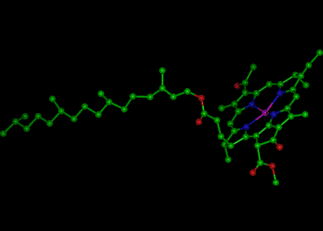 Chlorophyll molecule ball and stick