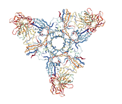 Botulizmus A botulinum toxin metabolizmusa