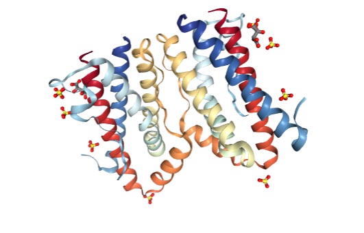 The Prion Molecule