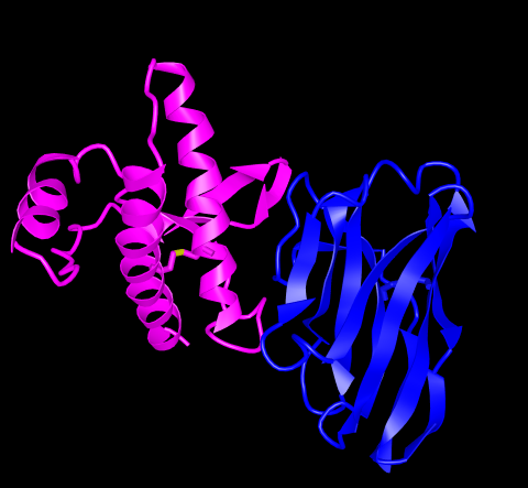 The Toxic Beta Sheet Prion Molecule