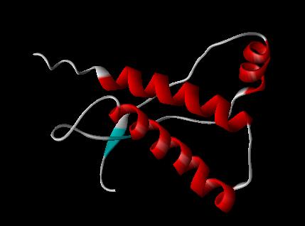 Prion Molecule -- Ribbon Structure Model