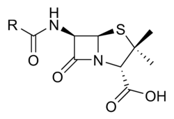 The Penicillin Molecule