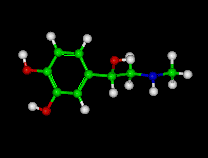 Adrenaline Molecule Ball and Stick Model