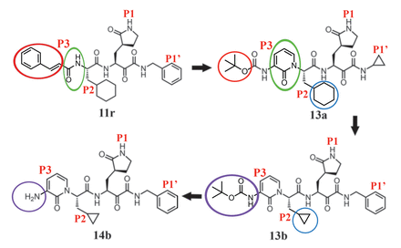 alpha ketoamide inhibitors