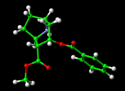 Cocaine Molecule