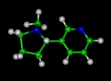 Nicotine Molecule Ball and Stick Model