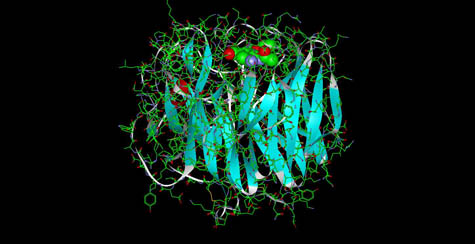 The Oseltamivir Molecule bound to Neuramindase