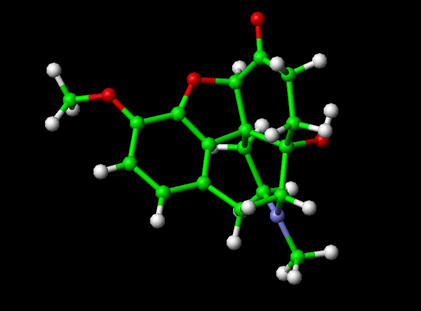 Oxycodone Molecule Ball and Stick Model