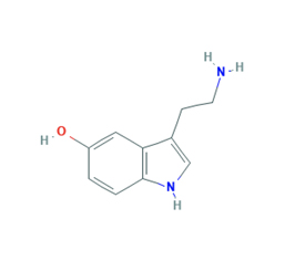 Sertraline Molecule Ball and Stick Model