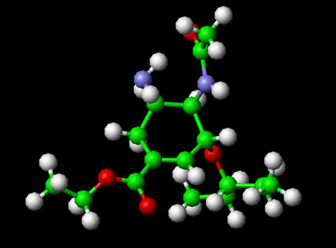 Tamiflu - Oseltamivir Molecule