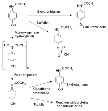 acetaminophen synthesis