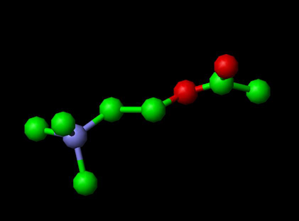 Acetylcholine Molecule Ball and Stick Model