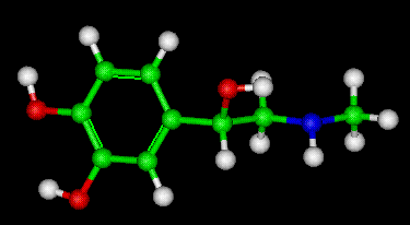 adrenalin, Epinephrine Molecule Ball and Stick Model