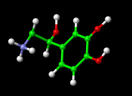 Norepinephrine Molecule Ball and Stick Model