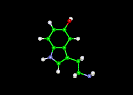 Serotonin Molecule Ball and Stick Model