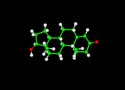 Testosterone Molecule Ball and Stick Model