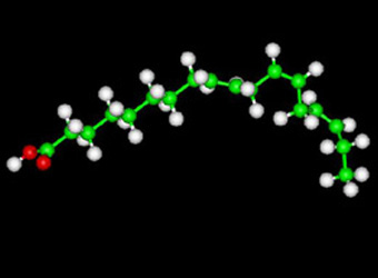 ALA Omega 3 Molecule Ball and Stick Model