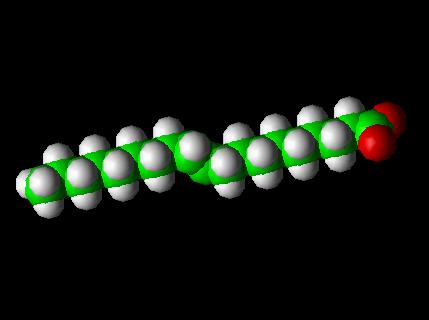 trans fatty acid molecule