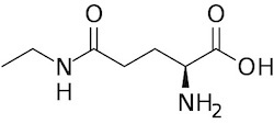 theanine structure