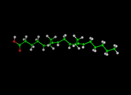 arachidonic acid