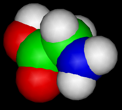 The Glycine Molecule