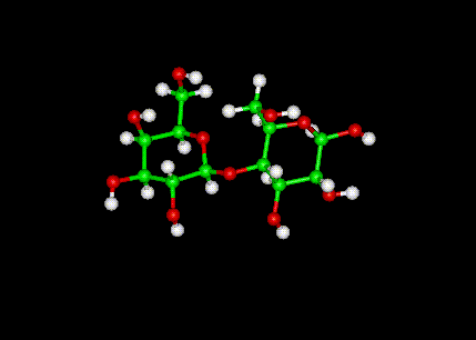 lactose molecule ball-and-stick